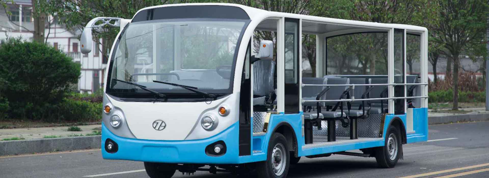 燃油觀光車(chē)